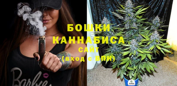 спайс Богданович