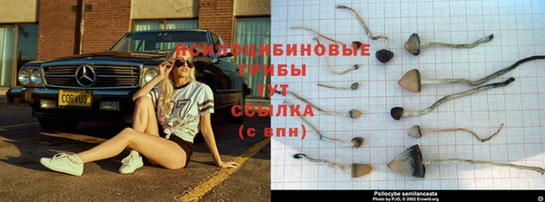 прущий лед Бугульма