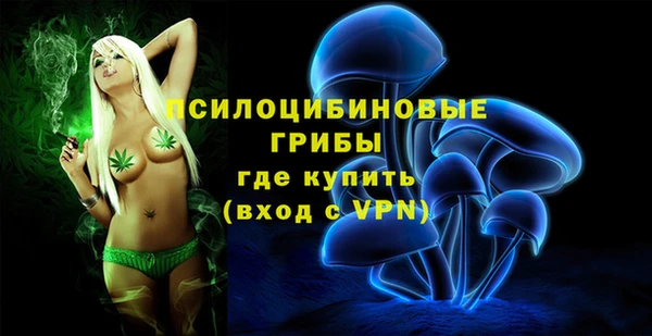 эйфоретик Богородск