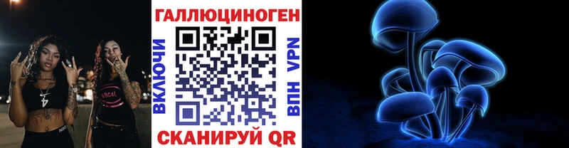 закладка  Старица  Галлюциногенные грибы мицелий 